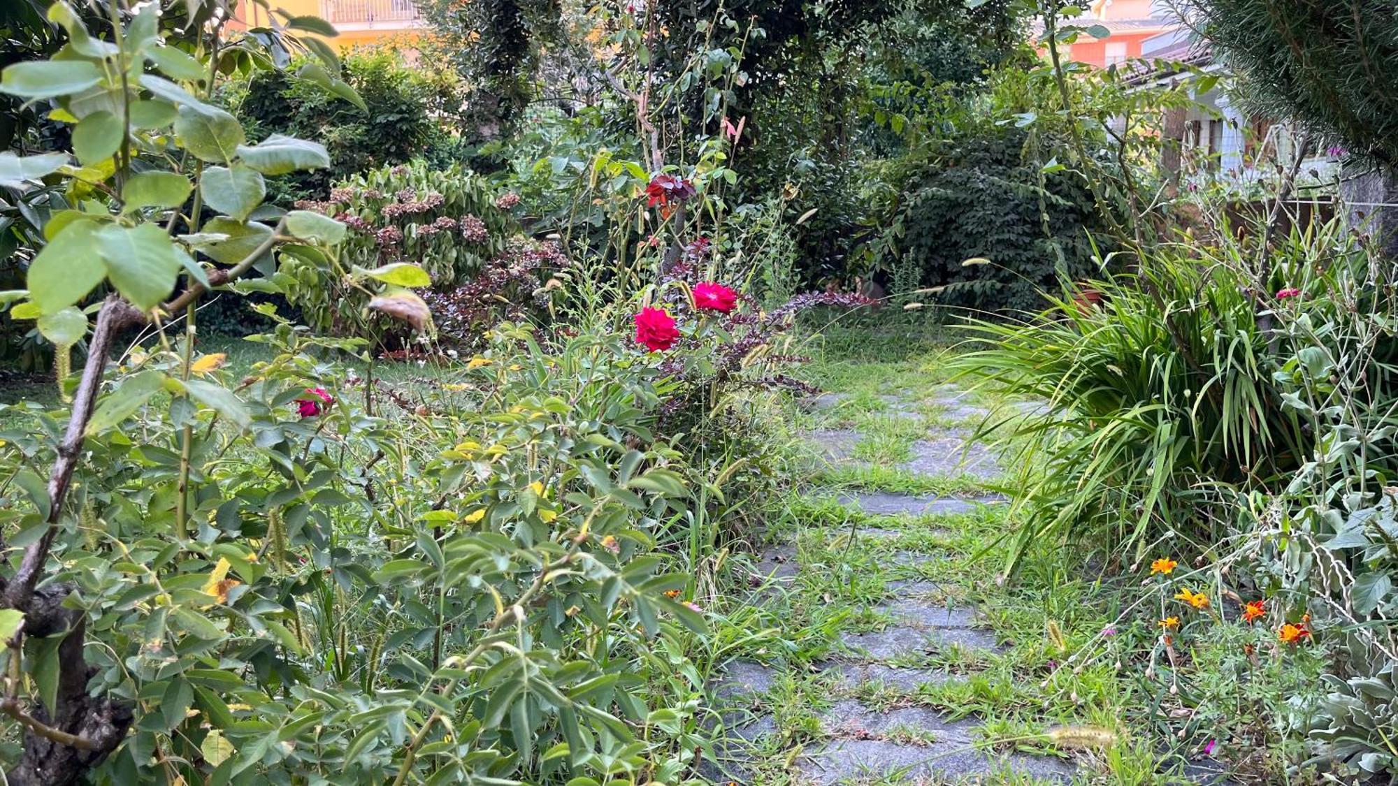 Апартаменты Antica Casa Storica Con Giardino Домодоссола Экстерьер фото